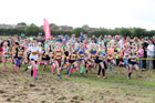 Girls under-11s Start Fitness North Eastern Harriers League, Wrekenton, Gateshead. Photo:  David T. Hewitson/Sports for All Pics